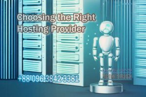  hosting provider